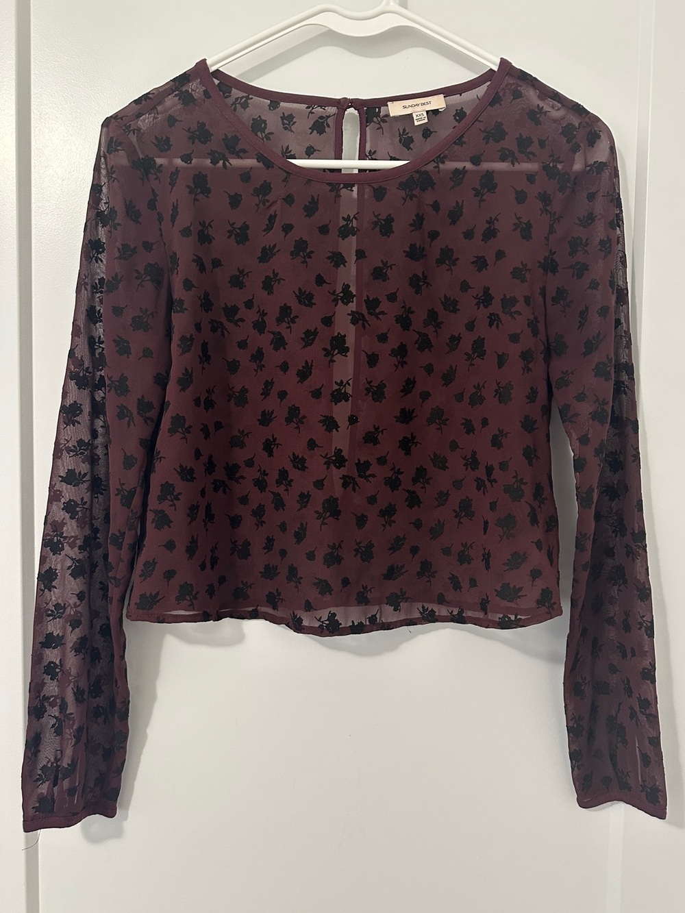 Aritzia Sunday Best Sheer Burgundy Floral Long Sleeve Blouse Size XXS Women’s